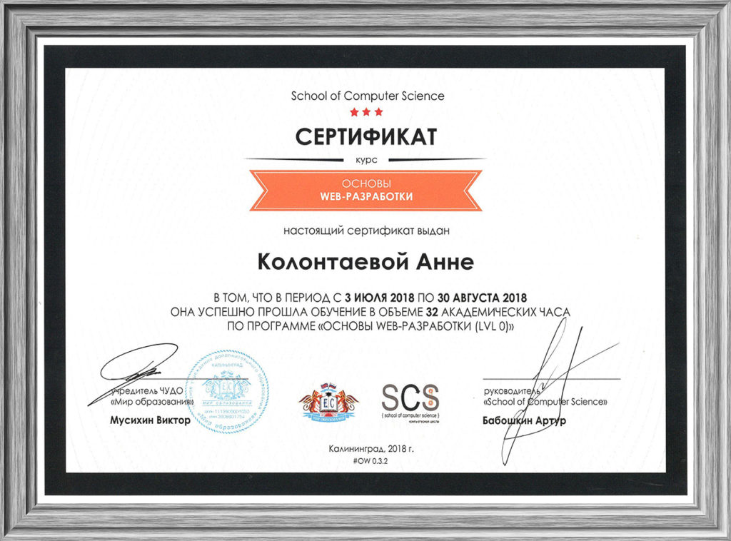 sertifikat-o-prohozhdenii-kursa-osnovy-web-razrabotki-lvl-0