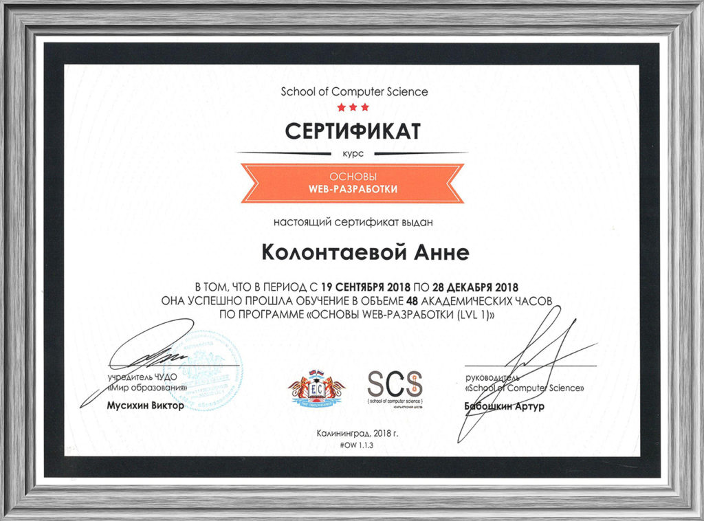 sertifikat-o-prohozhdenii-kursa-osnovy-web-razrabotki-lvl-1